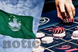 天天炸金花1.0.1-天天炸金花1.0.1，策略与技巧的深度剖析